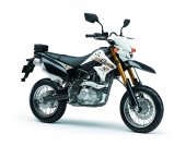 2012 Kawasaki D-Tracker 125 photo